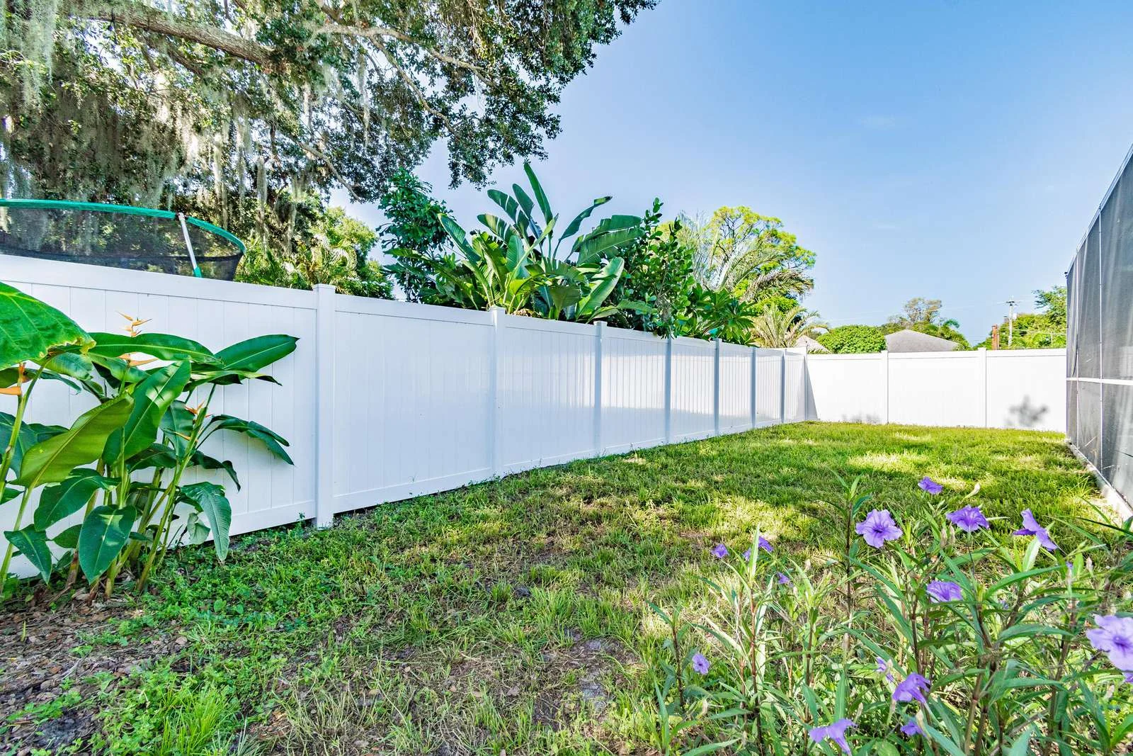 Private backyard